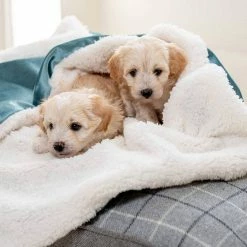 Best Pirce ✔️ Promo ❤️ 🐕 Dog & Puppy Velvet Blanket By Lords & Labradors 😉 👏 -Cheap Lords & Labradors Store lords and labradors velvet sherpa blanket duck egg velvet lifestyle