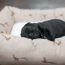 Discount โ Promo ๐ Lords & Labradors Personalised Cosy & Calm Puppy Box Bed - Woodlands Collection ๐ฏ ๐ 14 Discount โ Promo ๐ Lords & Labradors Personalised Cosy & Calm Puppy Box Bed - Woodlands Collection ๐ฏ ๐ -Cheap Lords & Labradors Store lords and labradors woodland pheasant puppy box bed