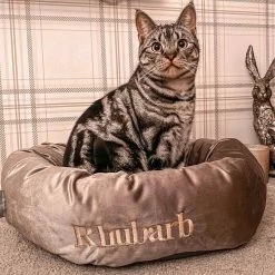Buy ⭐ Coupon 😀 Lords & Labradors Luxury Mink Velvet Cat Donut Bed 🔥 ✨