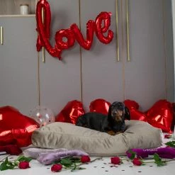 Discount ๐ Flash Sale ๐คฉ Lords & Labradors Personalised Luxurious Velvet ๐ถ ๐ฆฎ Dog Cushions โจ ๐