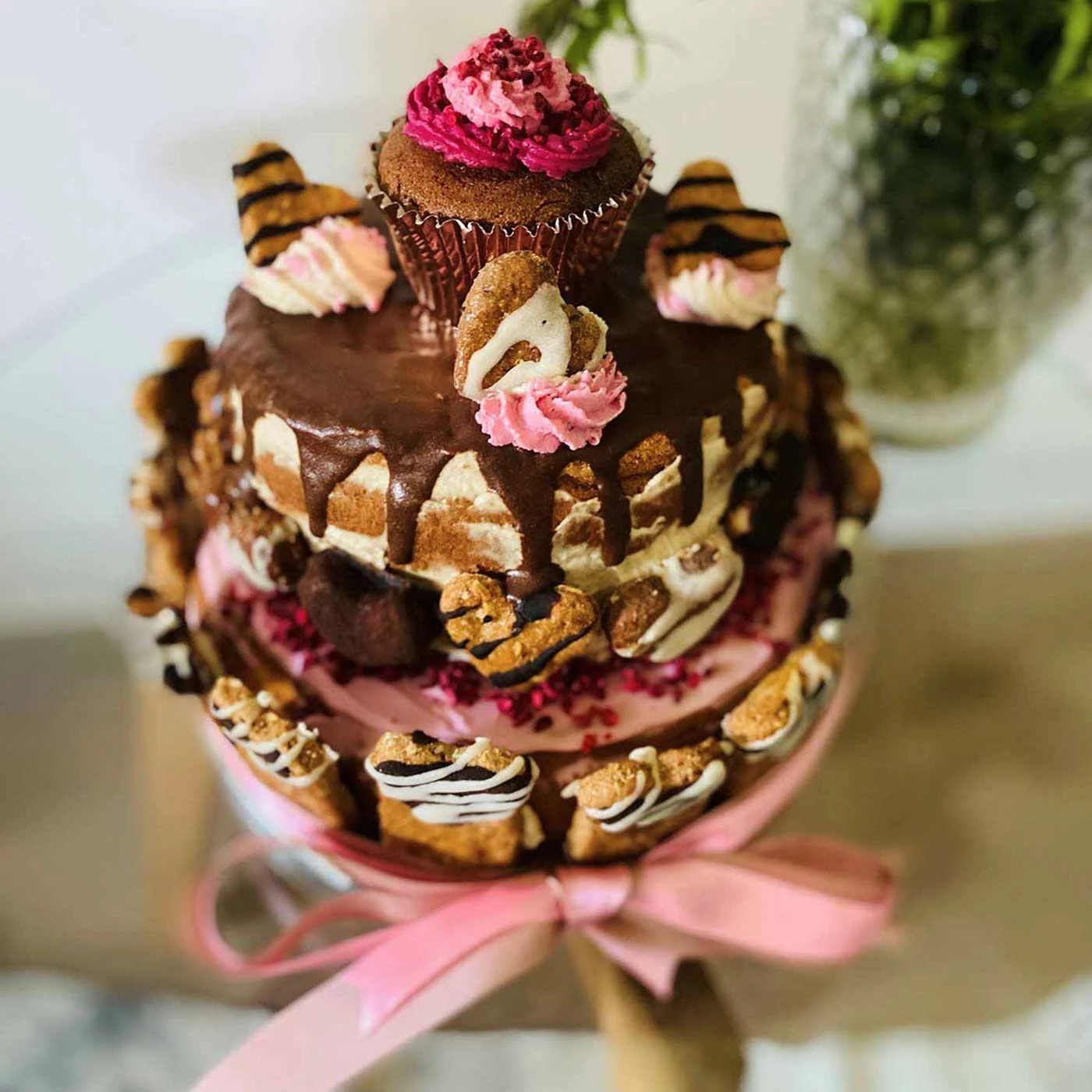 Top 10 ๐ Coupon ๐ฏ Molly's Patisserie Dream Cake ๐งจ ๐ 1 Top 10 ๐ Coupon ๐ฏ Molly's Patisserie Dream Cake ๐งจ ๐