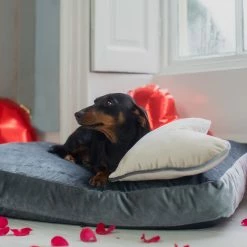 Wholesale 🛒 Wholesale 🔥 Lords & Labradors Luxurious Velvet 🦮 🐕 Dog Cushions 😉 😀