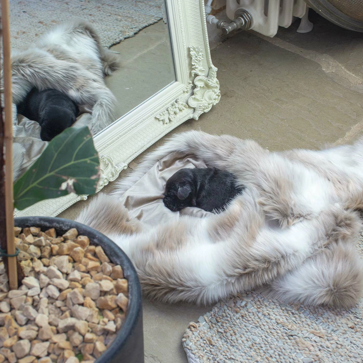 Best deal 🎁 Brand new 😀 Lords & Labradors Mushroom & Reindeer Faux Fur 🐶 🐶 Dog & Puppy Blanket 😀 ❤️ 3 Best deal 🎁 Brand new 😀 Lords & Labradors Mushroom & Reindeer Faux Fur 🐶 🐶 Dog & Puppy Blanket 😀 ❤️ - Image 3