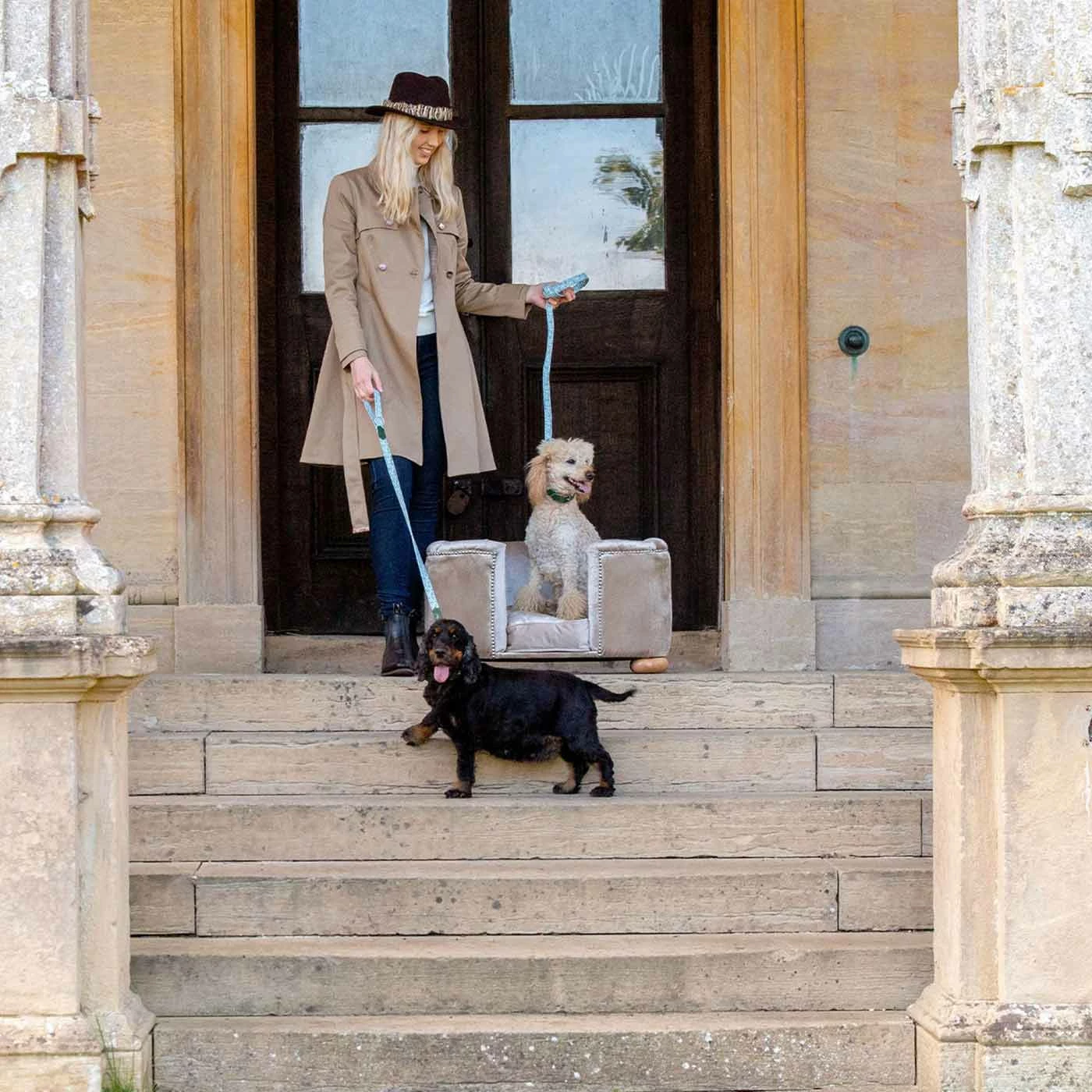 Cheapest 😀 Brand new 😀 Lords & Labradors Mushroom Velvet Chesterfield 🐶 🐕 Dog Bed 🛒 💯 4 Cheapest 😀 Brand new 😀 Lords & Labradors Mushroom Velvet Chesterfield 🐶 🐕 Dog Bed 🛒 💯 - Image 4