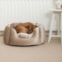 Discount โจ Best deal โค๏ธ Lords & Labradors High Wall Luxury Velvet Bed For ๐ ๐ Dogs โ โ 18 Discount โจ Best deal โค๏ธ Lords & Labradors High Wall Luxury Velvet Bed For ๐ ๐ Dogs โ โ -Cheap Lords & Labradors Store mushroom velvet high wall bed