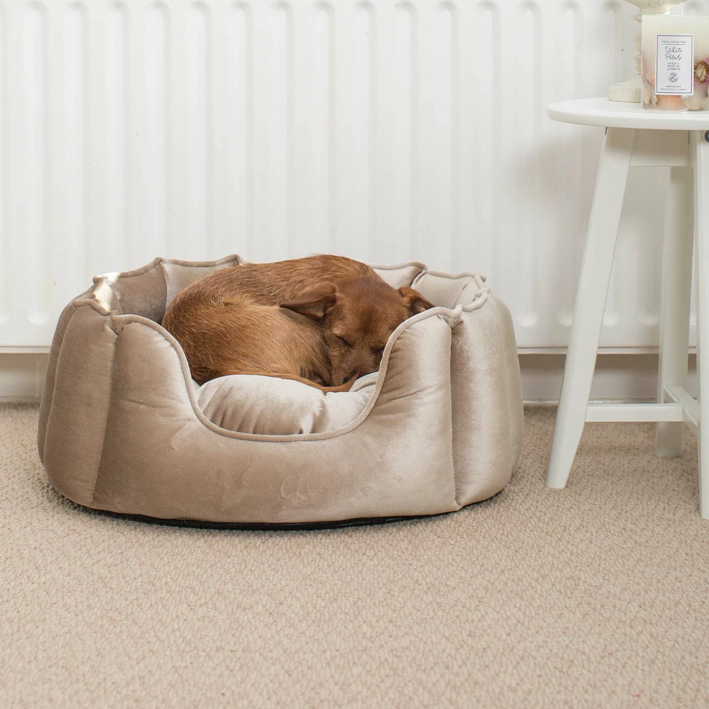 Discount โจ Best deal โค๏ธ Lords & Labradors High Wall Luxury Velvet Bed For ๐ ๐ Dogs โ โ 7 Discount โจ Best deal โค๏ธ Lords & Labradors High Wall Luxury Velvet Bed For ๐ ๐ Dogs โ โ - Image 7