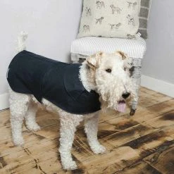 Best reviews of ❤️ Buy 🎁 Mutt & Hounds Mutts & Hounds Wax Waterproof 🐕 🐶 Dog 🧥 🧥 Coat 🌟 😀 -Cheap Lords & Labradors Store mutts hounds wax dog coat navy lifestyle