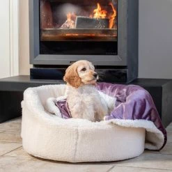 Flash Sale ✔️ Wholesale ✔️ Danish Design My First Bed ❤️ 🎁 8 Flash Sale ✔️ Wholesale ✔️ Danish Design My First Bed ❤️ 🎁 -Cheap Lords & Labradors Store my first bed