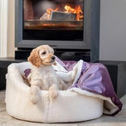 Flash Sale ✔️ Wholesale ✔️ Danish Design My First Bed ❤️ 🎁 7 Flash Sale ✔️ Wholesale ✔️ Danish Design My First Bed ❤️ 🎁 -Cheap Lords & Labradors Store my first bed lifestyle