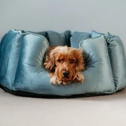 Best Sale 🎉 Hot Sale 😉 Lords & Labradors Personalised High Wall Luxury Velvet Bed For 🐶 🦮 Dogs 🌟 🎁 -Cheap Lords & Labradors Store otis high wall bed 2 926fad19 891e 4442 9333 26aaa84a65b6