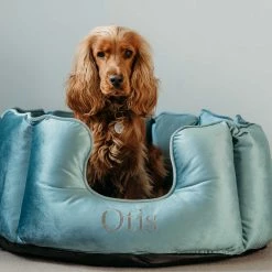 Best Sale 🎉 Hot Sale 😉 Lords & Labradors Personalised High Wall Luxury Velvet Bed For 🐶 🦮 Dogs 🌟 🎁 -Cheap Lords & Labradors Store otis high wall bed cbff2fc5 bd8c 4788 ad1a 6141a072a845