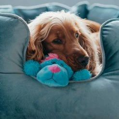 Discount โจ Best deal โค๏ธ Lords & Labradors High Wall Luxury Velvet Bed For ๐ ๐ Dogs โ โ 14 Discount โจ Best deal โค๏ธ Lords & Labradors High Wall Luxury Velvet Bed For ๐ ๐ Dogs โ โ -Cheap Lords & Labradors Store otis non personalised 2