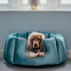 Discount ✨ Best deal ❤️ Lords & Labradors High Wall Luxury Velvet Bed For 🐕 🐕 Dogs ⌛ ⌛