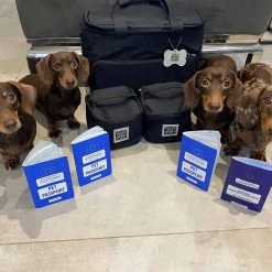 Wholesale 💯 Flash Sale ⭐ Mobile 🐶 🦮 Dog Gear Week Away Bag In Black 😉 😀 -Cheap Lords & Labradors Store overland dog gear ultimate weekaway bag small dogs pet passport