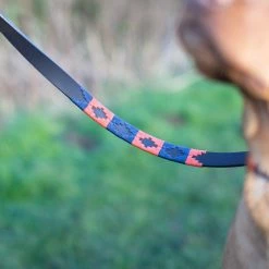 Hot Sale 👏 Hot Sale 😉 Pampeano Audaz 🦮 🦮 Dog Lead 🎁 💯