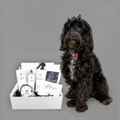 Best Pirce 😀 Best reviews of 🌟 Pawdaw of London Luxury Pamper Gift Box 🔥 ⌛ -Cheap Lords & Labradors Store pawdaw of london luxury gift box for dogs studio dog
