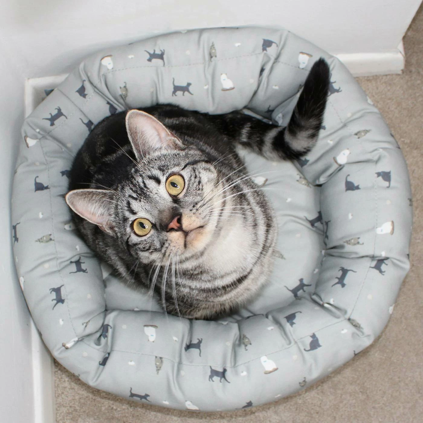 Coupon ๐ New ๐ Lords & Labradors Personalised Cosmopolitan Cat Donut Bed โจ ๐ 2 Coupon ๐ New ๐ Lords & Labradors Personalised Cosmopolitan Cat Donut Bed โจ ๐ - Image 2