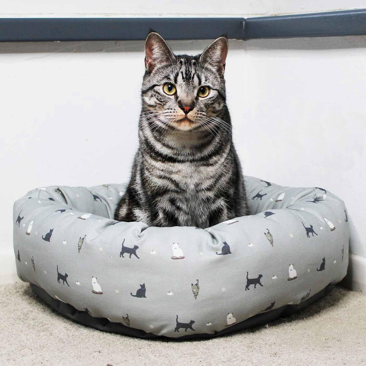 Coupon ๐ New ๐ Lords & Labradors Personalised Cosmopolitan Cat Donut Bed โจ ๐ 1 Coupon ๐ New ๐ Lords & Labradors Personalised Cosmopolitan Cat Donut Bed โจ ๐