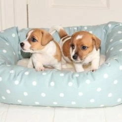 Buy ⌛ Best deal 🔔 Lords & Labradors Personalised Cosy & Calm Puppy Box Bed 💯 👏 -Cheap Lords & Labradors Store personalised cosy calm puppy box bed duck egg spot puppy