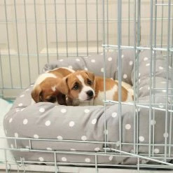 Buy ⌛ Best deal 🔔 Lords & Labradors Personalised Cosy & Calm Puppy Box Bed 💯 👏 -Cheap Lords & Labradors Store personalised cosy calm puppy box bed grey spot lifestyle