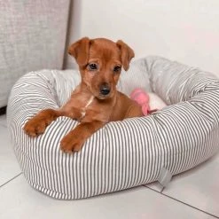 Buy ⌛ Best deal 🔔 Lords & Labradors Personalised Cosy & Calm Puppy Box Bed 💯 👏 -Cheap Lords & Labradors Store personalised cosy calm puppy box bed regency stripe close up