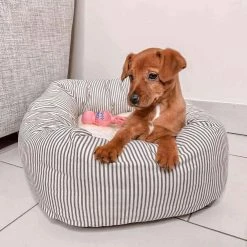 Buy ⌛ Best deal 🔔 Lords & Labradors Personalised Cosy & Calm Puppy Box Bed 💯 👏 -Cheap Lords & Labradors Store personalised cosy calm puppy box bed regency stripe lifestyle puppy close up
