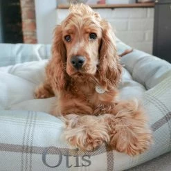 Best Sale 🔔 New 😉 Lords & Labradors Personalised Cosy Tweed Box Bed For 🐕 🦮 Dogs 😉 🌟 -Cheap Lords & Labradors Store personalised cosy tweed box bed for dogs duck egg