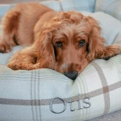 Best Sale 🔔 New 😉 Lords & Labradors Personalised Cosy Tweed Box Bed For 🐕 🦮 Dogs 😉 🌟 -Cheap Lords & Labradors Store personalised cosy tweed box bed for dogs lifestyle top