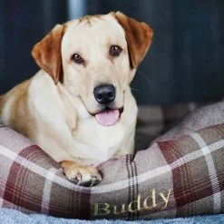 Best Sale 🔔 New 😉 Lords & Labradors Personalised Cosy Tweed Box Bed For 🐕 🦮 Dogs 😉 🌟 -Cheap Lords & Labradors Store personalised cosy tweed box bed for dogs mulberry close up dog