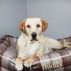 Best Sale 🔔 New 😉 Lords & Labradors Personalised Cosy Tweed Box Bed For 🐕 🦮 Dogs 😉 🌟 -Cheap Lords & Labradors Store personalised cosy tweed box bed for dogs mulberry dog close up