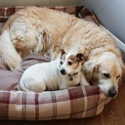 Best Sale 🔔 New 😉 Lords & Labradors Personalised Cosy Tweed Box Bed For 🐕 🦮 Dogs 😉 🌟 -Cheap Lords & Labradors Store personalised cosy tweed box bed for dogs mulberry jack russell