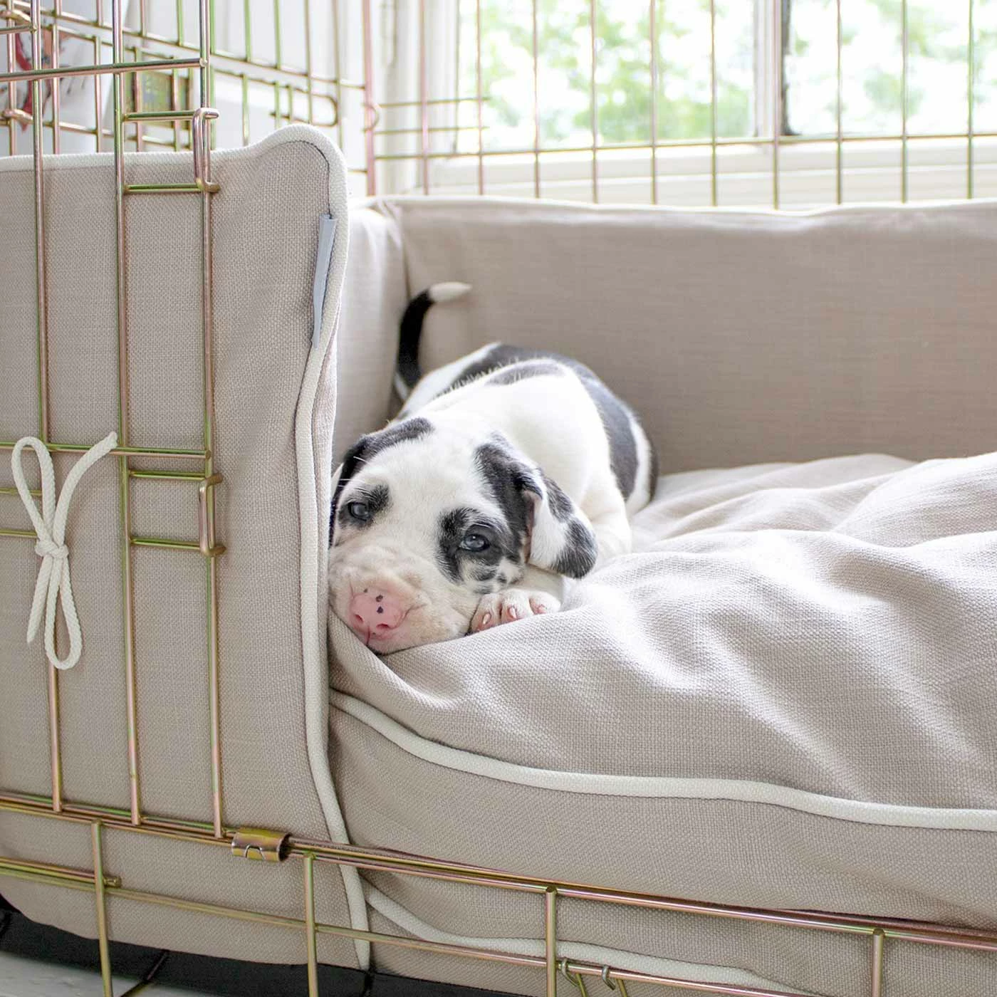 Brand new ๐ Hot Sale ๐ฏ Personalised ๐ถ ๐ถ Dog Crate Bumper in Savanna Oatmeal by Lords & Labradors ๐คฉ ๐ฏ 5 Brand new ๐ Hot Sale ๐ฏ Personalised ๐ถ ๐ถ Dog Crate Bumper in Savanna Oatmeal by Lords & Labradors ๐คฉ ๐ฏ - Image 5