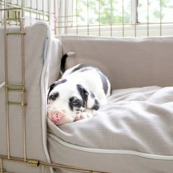 Brand new ๐ Hot Sale ๐ฏ Personalised ๐ถ ๐ถ Dog Crate Bumper in Savanna Oatmeal by Lords & Labradors ๐คฉ ๐ฏ 11 Brand new ๐ Hot Sale ๐ฏ Personalised ๐ถ ๐ถ Dog Crate Bumper in Savanna Oatmeal by Lords & Labradors ๐คฉ ๐ฏ -Cheap Lords & Labradors Store personalised dog crate bumper in savanna oatmeal by lords labradors puppy close up