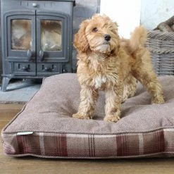 Cheap ๐ Best deal ๐ Personalised ๐ถ ๐ Dog Cushion in Balmoral Mulberry Tweed by Lords & Labradors โญ โ