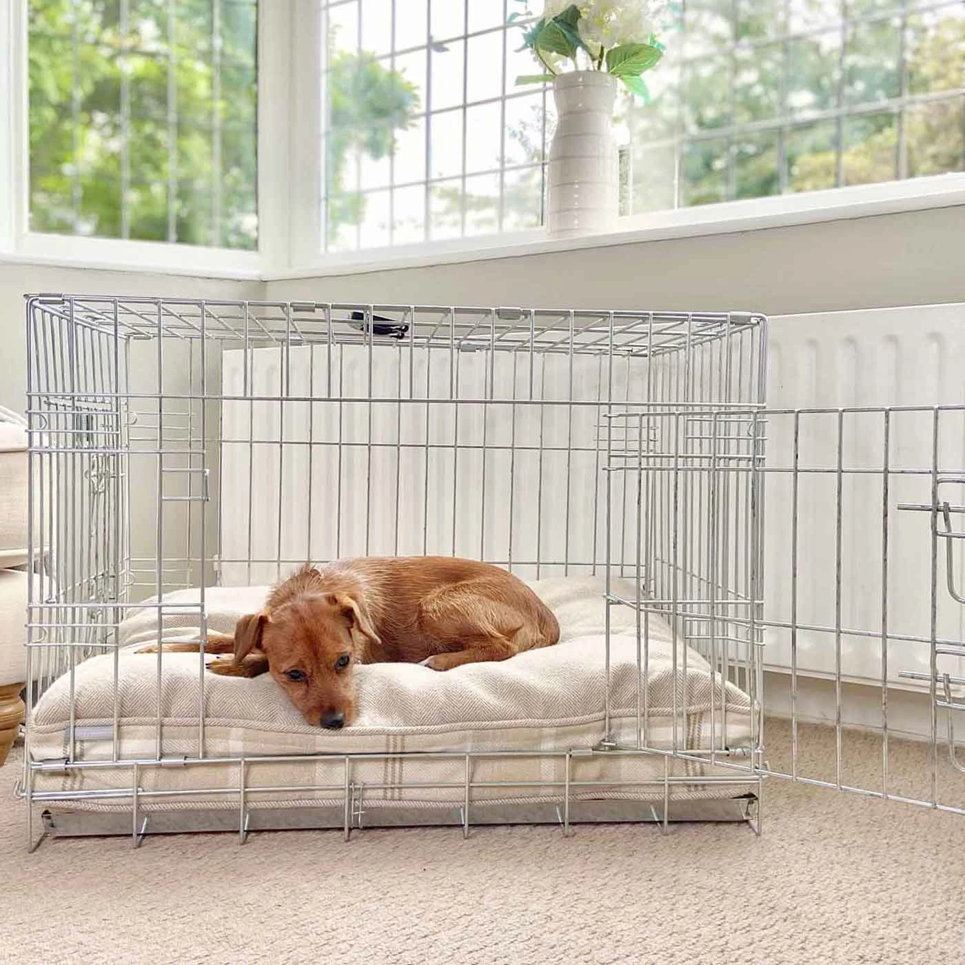 Cheap 😉 Cheap 🎁 Personalised 🐕 🐕 Dog Cushion in Balmoral Natural Tweed by Lords & Labradors 😀 ✔️ 2 Cheap 😉 Cheap 🎁 Personalised 🐕 🐕 Dog Cushion in Balmoral Natural Tweed by Lords & Labradors 😀 ✔️ - Image 2