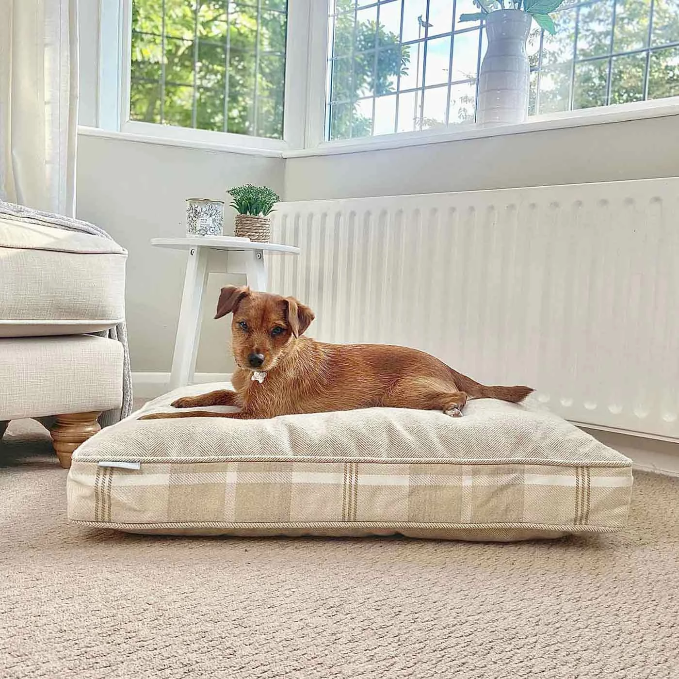 Cheap 😉 Cheap 🎁 Personalised 🐕 🐕 Dog Cushion in Balmoral Natural Tweed by Lords & Labradors 😀 ✔️ 1 Cheap 😉 Cheap 🎁 Personalised 🐕 🐕 Dog Cushion in Balmoral Natural Tweed by Lords & Labradors 😀 ✔️