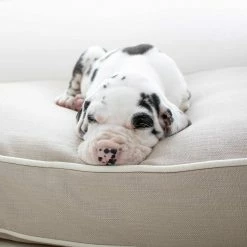 Brand new 🧨 Best Sale 😉 Personalised 🐶 🐶 Dog Cushion in Savanna Oatmeal by Lords & Labradors 🎉 ✨ -Cheap Lords & Labradors Store personalised dog cushion in savanna oatmeal by lords labradors