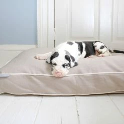 Brand new 🧨 Best Sale 😉 Personalised 🐶 🐶 Dog Cushion in Savanna Oatmeal by Lords & Labradors 🎉 ✨ -Cheap Lords & Labradors Store personalised dog cushion in savanna oatmeal by lords labradors dalmatian lifestyle