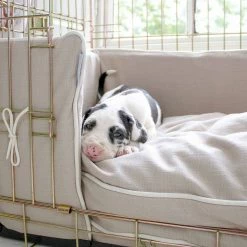 Brand new 🧨 Best Sale 😉 Personalised 🐶 🐶 Dog Cushion in Savanna Oatmeal by Lords & Labradors 🎉 ✨ -Cheap Lords & Labradors Store personalised dog cushion in savanna oatmeal by lords labradors puppy close up