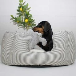 Discount ๐ Hot Sale โญ Lords & Labradors Personalised High Wall Bed For ๐ฆฎ ๐ฆฎ Dogs - Spots & Stripes Collection ๐คฉ โจ