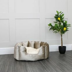 Best reviews of ๐ Cheap ๐ Lords & Labradors Personalised High Wall Luxury Velvet Bed For Cats ๐ฏ ๐ฅฐ 9 Best reviews of ๐ Cheap ๐ Lords & Labradors Personalised High Wall Luxury Velvet Bed For Cats ๐ฏ ๐ฅฐ -Cheap Lords & Labradors Store personalised high wall luxury velvet bed for cats mushroom lifestyle