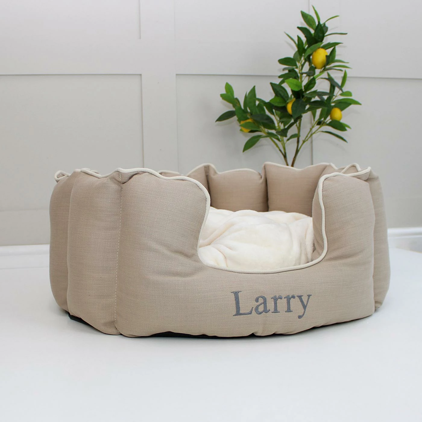 Outlet โจ Cheapest โจ Lords & Labradors Personalised High Wall Savanna Bed For Cats ๐ ๐ฅฐ 1 Outlet โจ Cheapest โจ Lords & Labradors Personalised High Wall Savanna Bed For Cats ๐ ๐ฅฐ