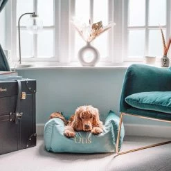 Wholesale 🥰 Brand new 🧨 Lords & Labradors Personalised Luxury Velvet Box Bed For 🦮 🐕 Dogs 🛒 🌟 -Cheap Lords & Labradors Store personalised luxury velvet box bed for dogs duck egg