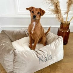 Wholesale 🥰 Brand new 🧨 Lords & Labradors Personalised Luxury Velvet Box Bed For 🦮 🐕 Dogs 🛒 🌟 -Cheap Lords & Labradors Store personalised luxury velvet box bed for dogs mushroom velvet