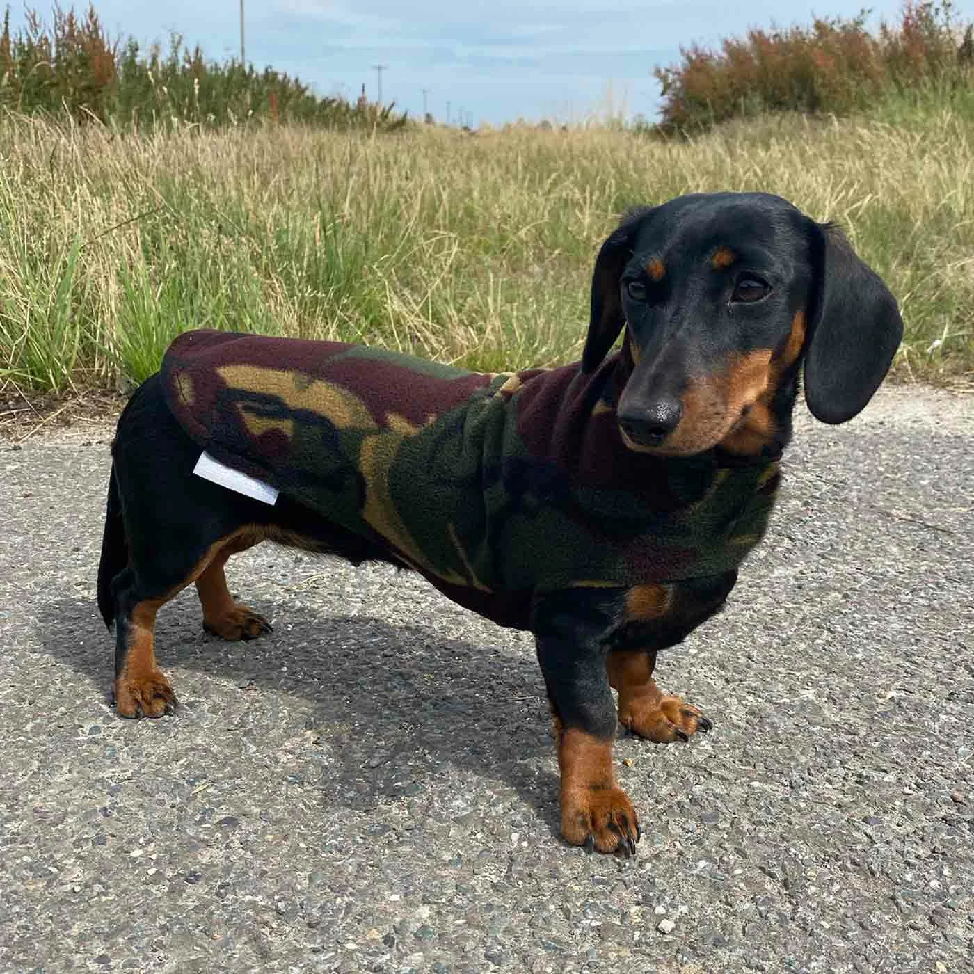 Best deal 😀 New 👏 Personalised Miniature Dachshund Fleece by Lords & Labradors 😀 😀 8 Best deal 😀 New 👏 Personalised Miniature Dachshund Fleece by Lords & Labradors 😀 😀 - Image 8