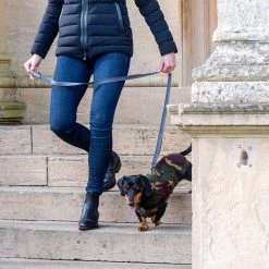 Best deal 😀 New 👏 Personalised Miniature Dachshund Fleece by Lords & Labradors 😀 😀 31 Best deal 😀 New 👏 Personalised Miniature Dachshund Fleece by Lords & Labradors 😀 😀 -Cheap Lords & Labradors Store personalised miniature dachshund fleece by lords labradors camo stairs