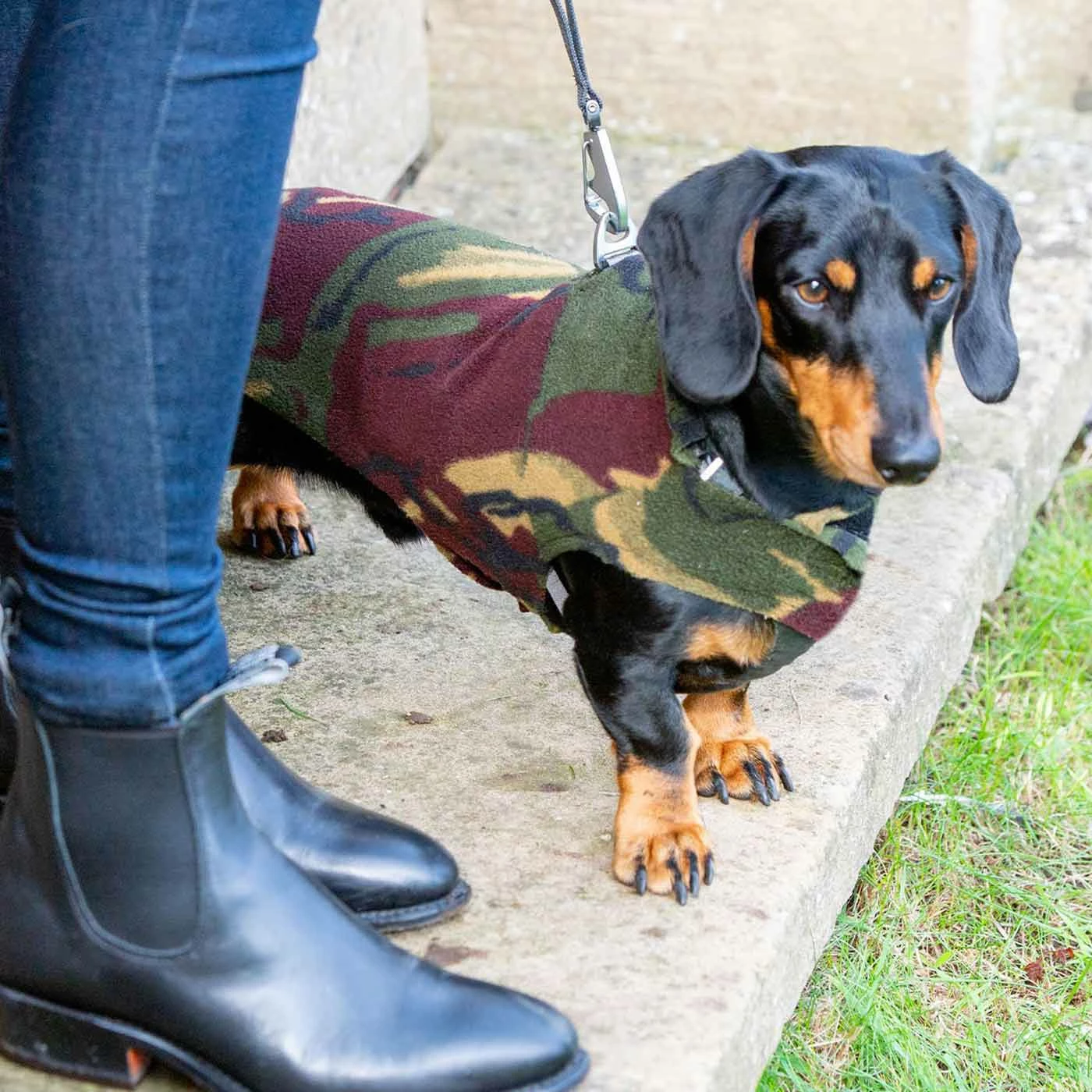 Best deal 😀 New 👏 Personalised Miniature Dachshund Fleece by Lords & Labradors 😀 😀 7 Best deal 😀 New 👏 Personalised Miniature Dachshund Fleece by Lords & Labradors 😀 😀 - Image 7