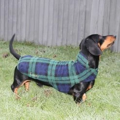 Best deal 😀 New 👏 Personalised Miniature Dachshund Fleece by Lords & Labradors 😀 😀 22 Best deal 😀 New 👏 Personalised Miniature Dachshund Fleece by Lords & Labradors 😀 😀 -Cheap Lords & Labradors Store personalised miniature dachshund fleece by lords labradors green tartan lifestyle