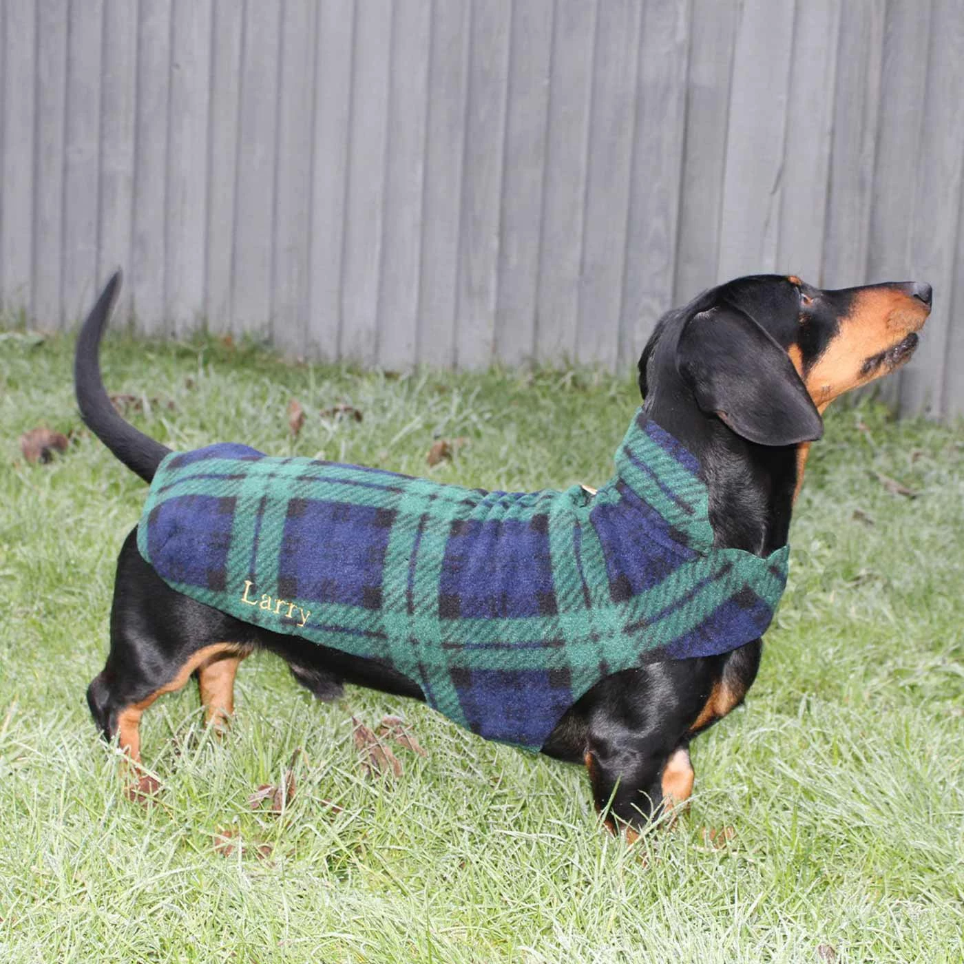 Best deal 😀 New 👏 Personalised Miniature Dachshund Fleece by Lords & Labradors 😀 😀 3 Best deal 😀 New 👏 Personalised Miniature Dachshund Fleece by Lords & Labradors 😀 😀 - Image 3