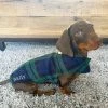 Best deal 😀 New 👏 Personalised Miniature Dachshund Fleece by Lords & Labradors 😀 😀